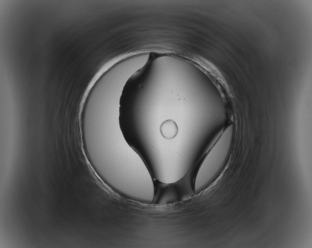 X0000086021192200704131843