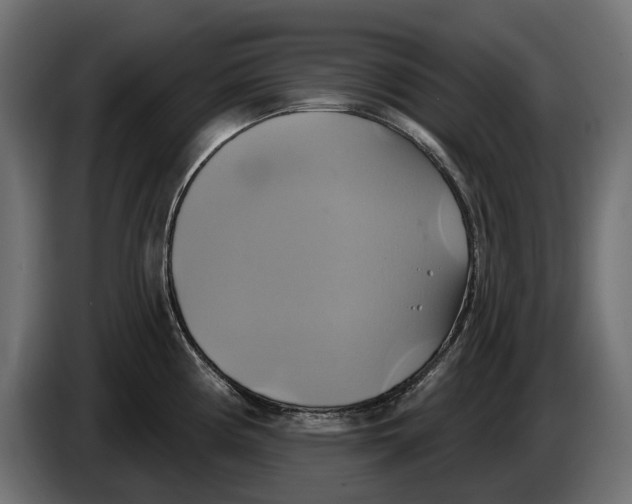 X0000086021194200704131843