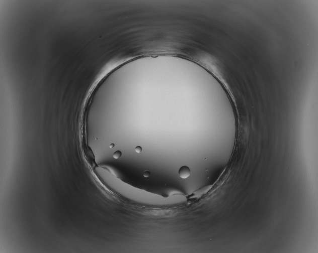X0000086021195200704131843