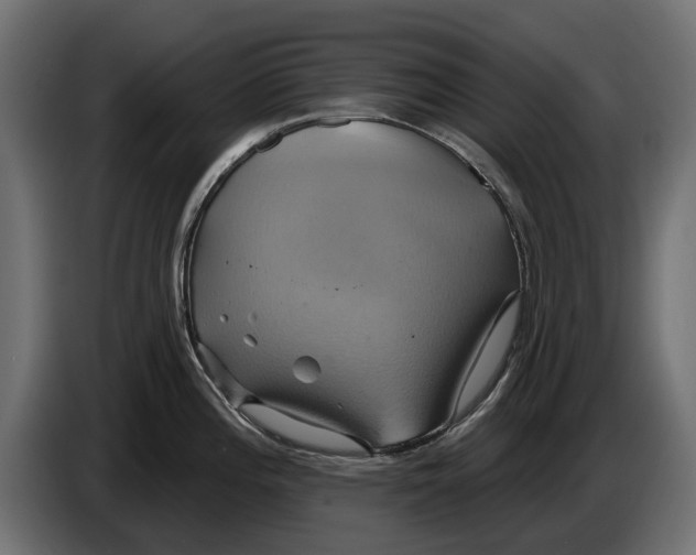 X0000086021196200704131843