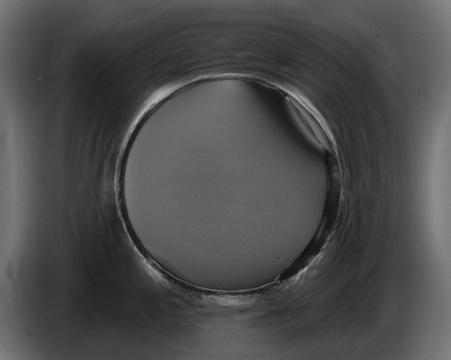 X0000086021197200704131843