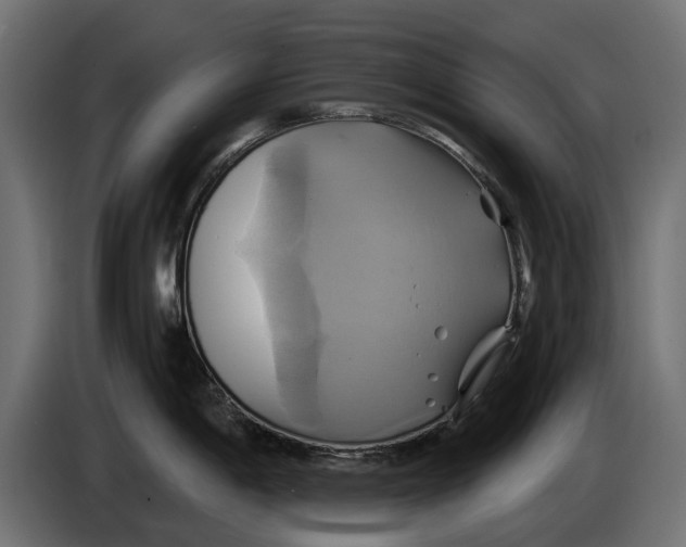X0000086021198200704131843