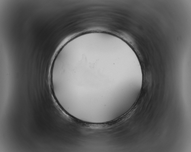 X0000086021199200704131843