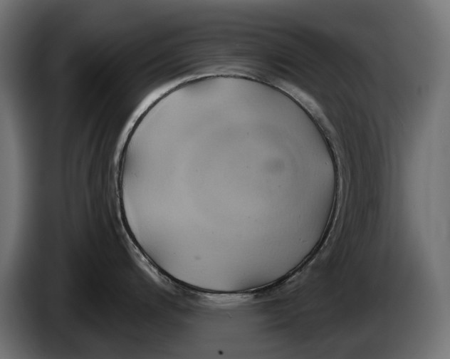 X0000086021200200704131843