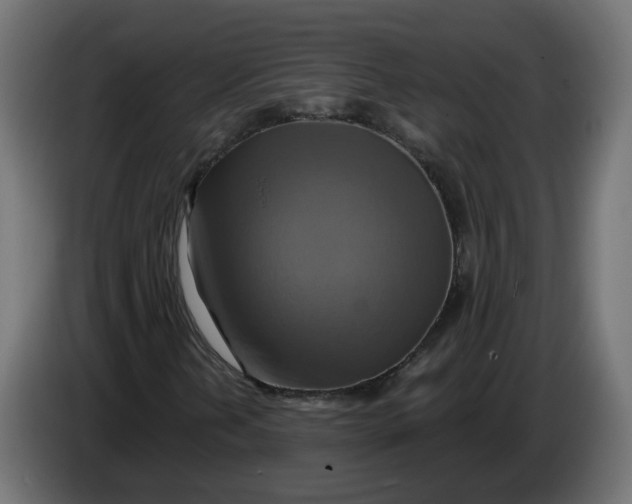 X0000086021202200704131842