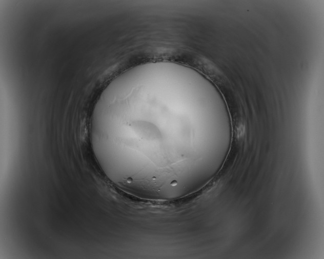 X0000086021204200704131842