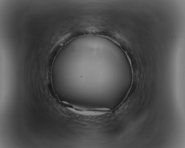X0000086021205200704131842