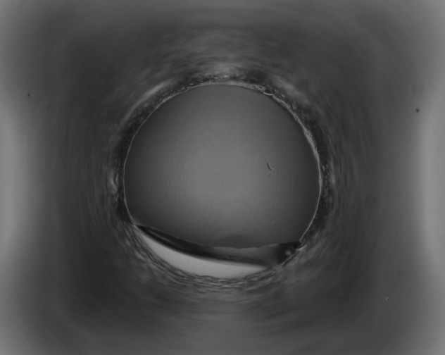 X0000086021206200704131842