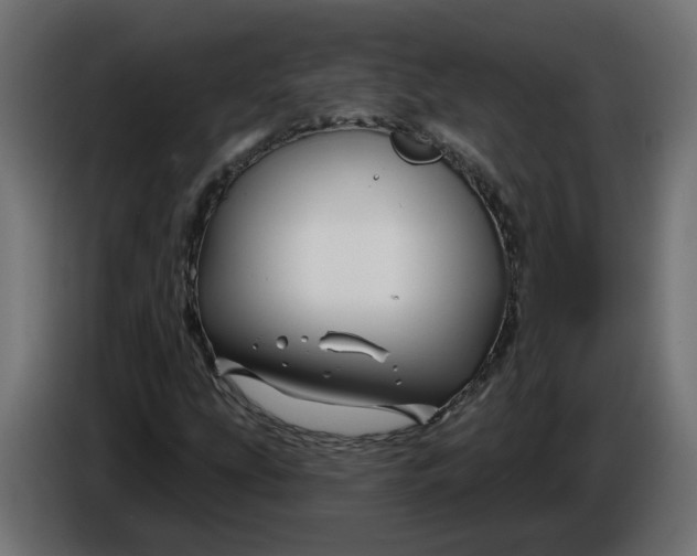 X0000086021207200704131842