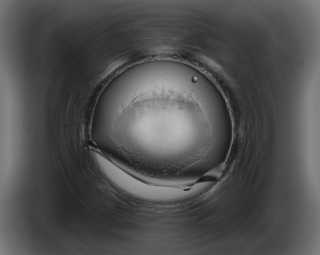 X0000086021209200704131842