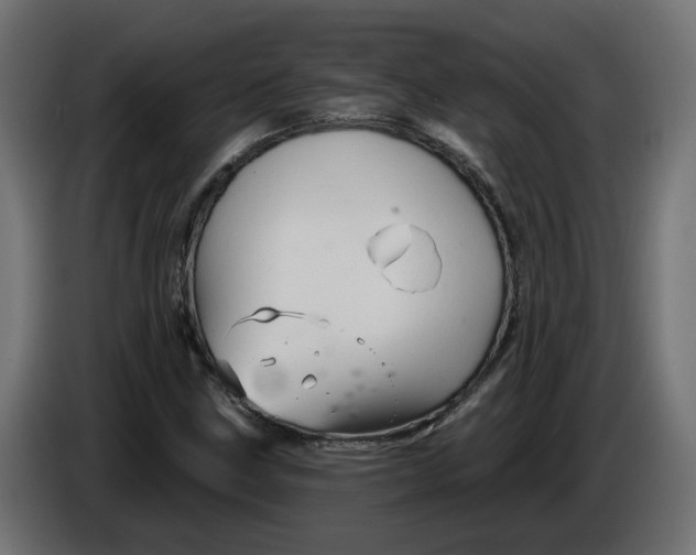 X0000086021211200704131842