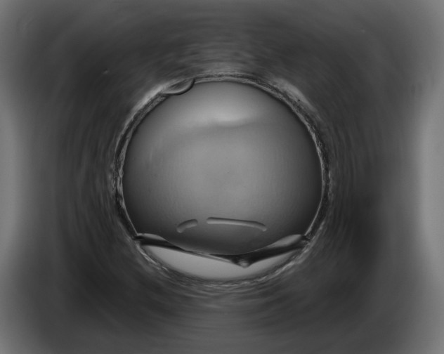 X0000086021212200704131842