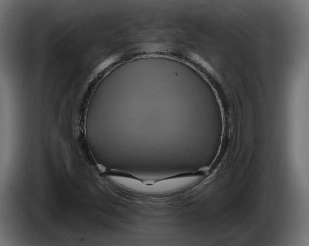 X0000086021213200704131842