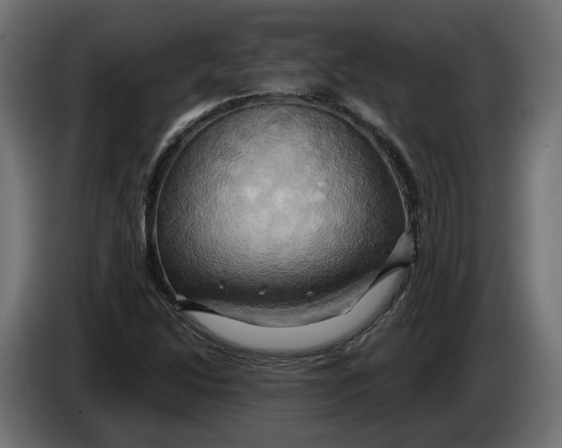 X0000086021214200704131842