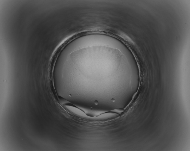 X0000086021216200704131842