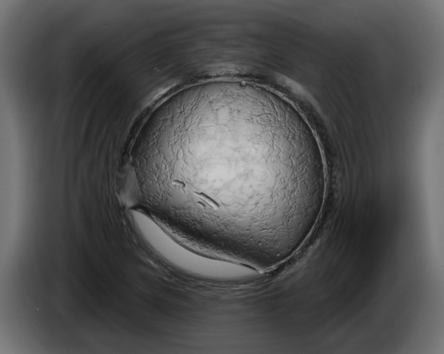 X0000086021217200704131842
