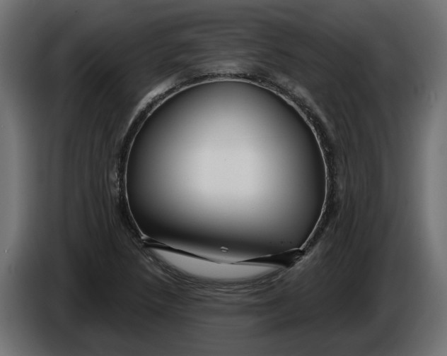 X0000086021218200704131842