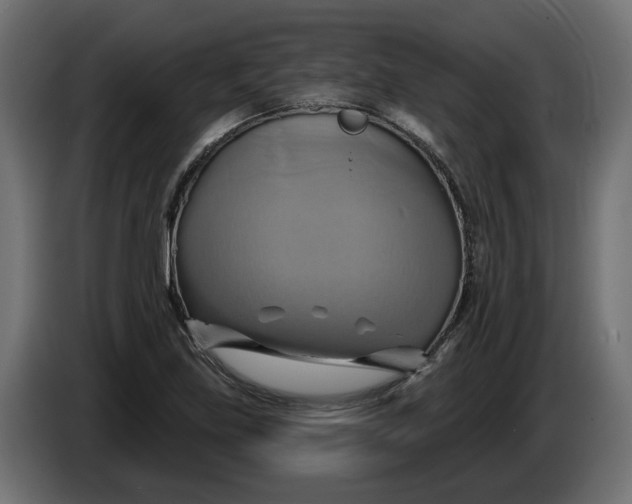X0000086021219200704131842