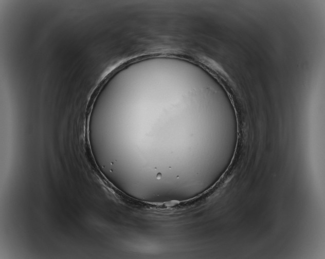 X0000086021220200704131842