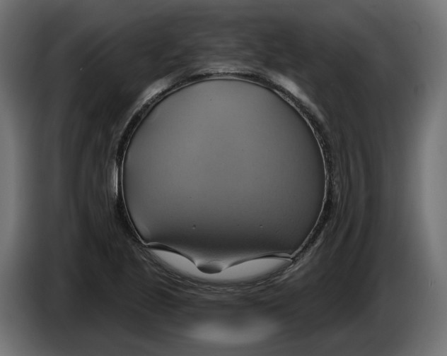X0000086021221200704131842
