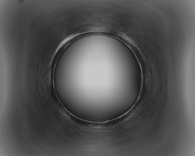 X0000086021222200704131842