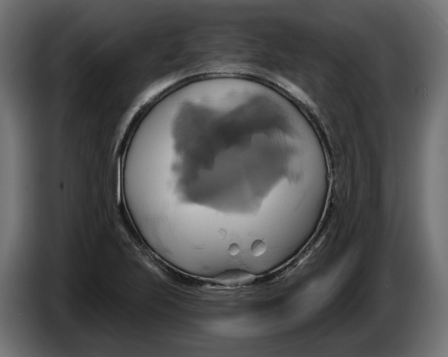 X0000086021223200704131842
