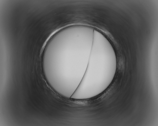 X0000086021224200704131842