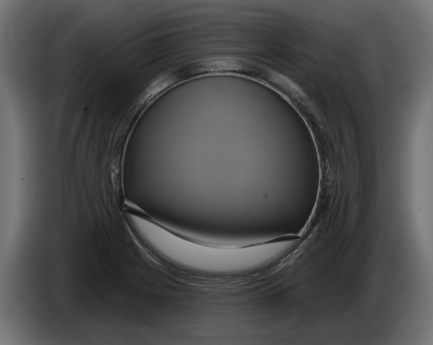 X0000086021225200704131842