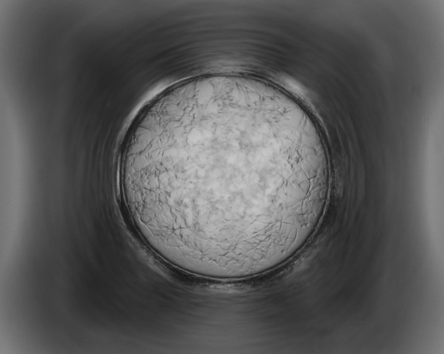 X0000086021227200704131843