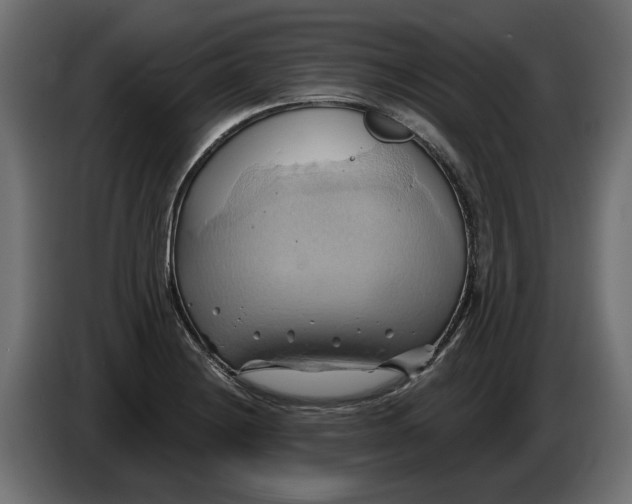 X0000086021228200704131843