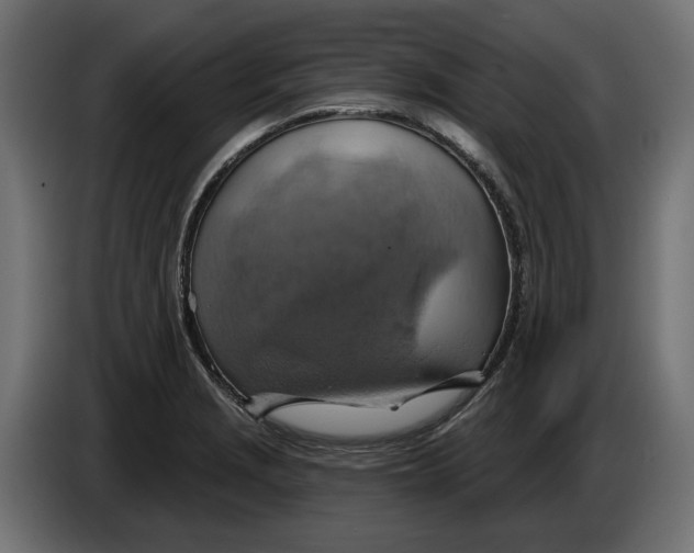 X0000086021229200704131843