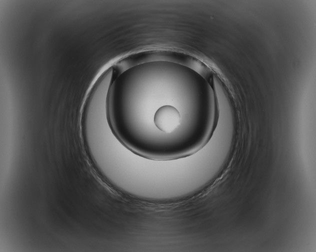 X0000086021230200704131843