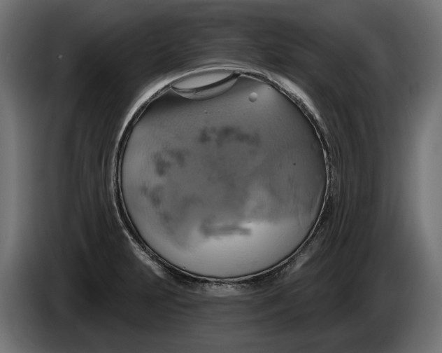 X0000086021231200704131843