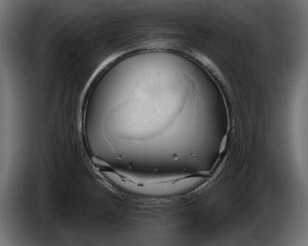 X0000086021232200704131843