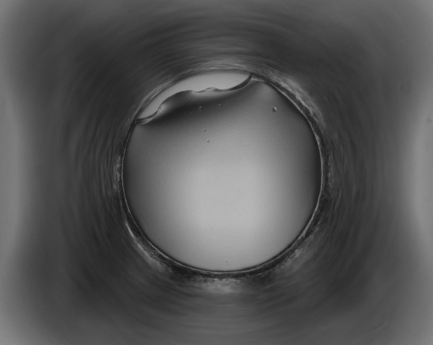 X0000086021233200704131843