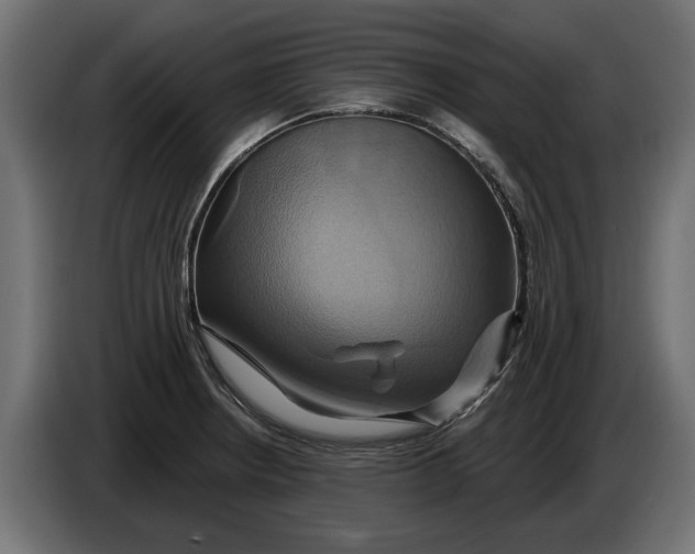 X0000086021234200704131843