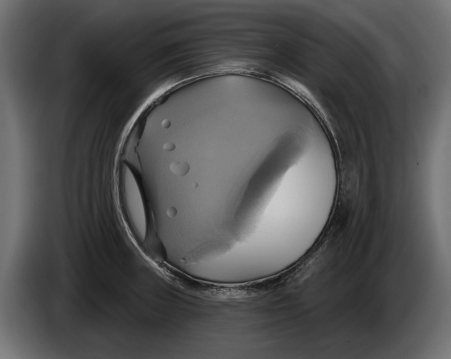 X0000086021235200704131843