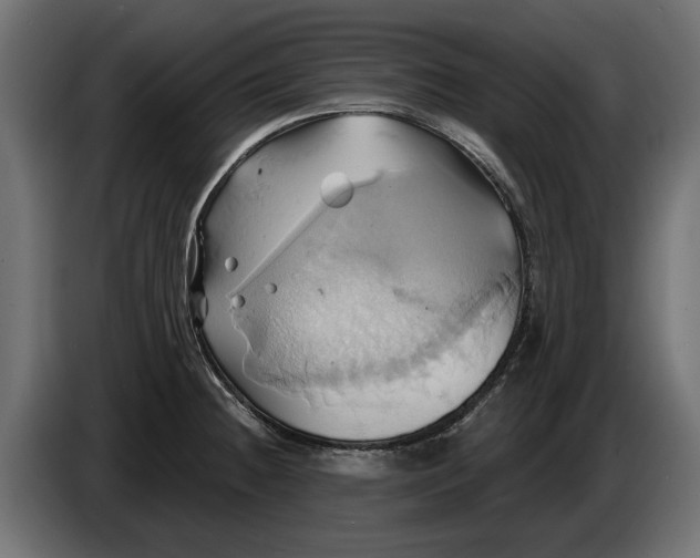 X0000086021236200704131843