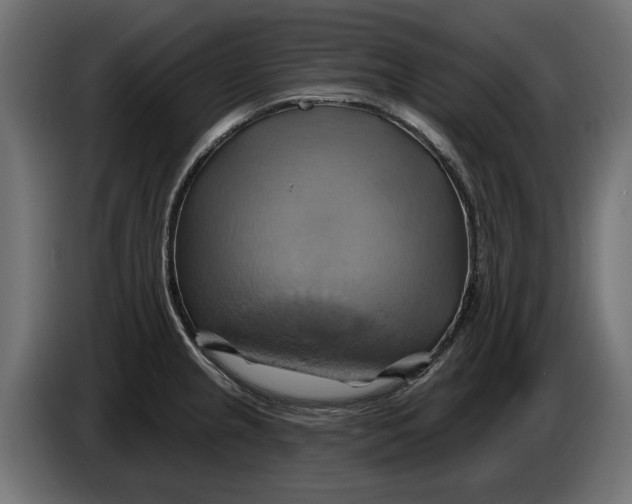 X0000086021237200704131843