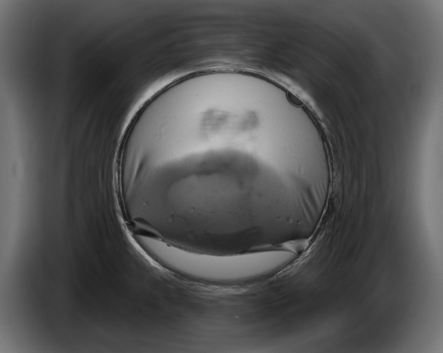X0000086021239200704131843