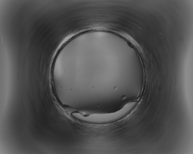 X0000086021240200704131843
