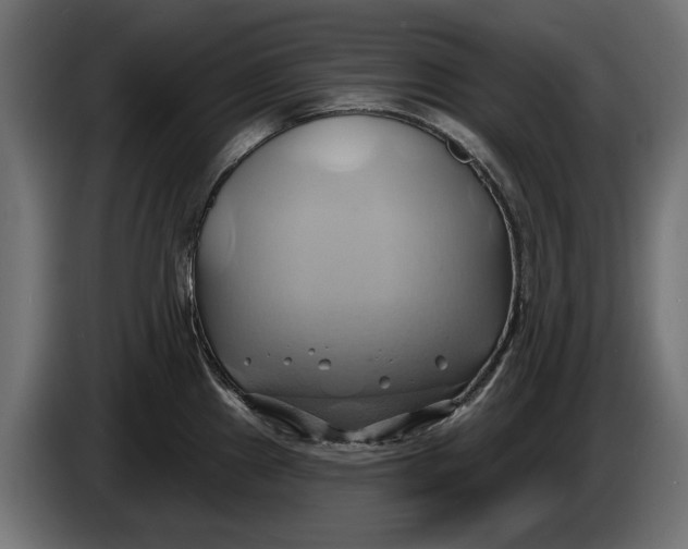 X0000086021241200704131843