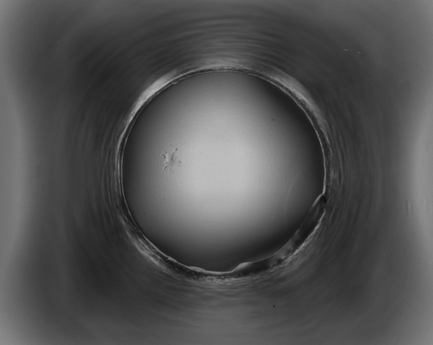 X0000086021242200704131843