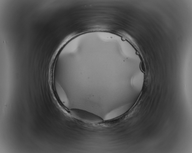 X0000086021243200704131843