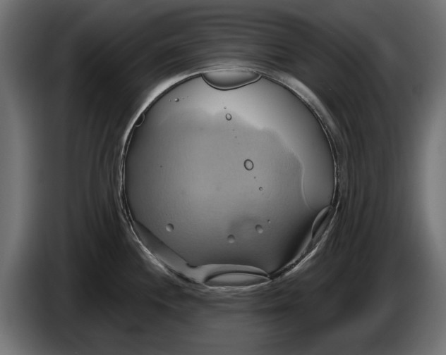 X0000086021244200704131843