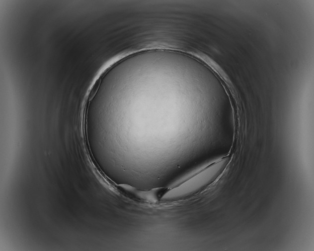 X0000086021246200704131843