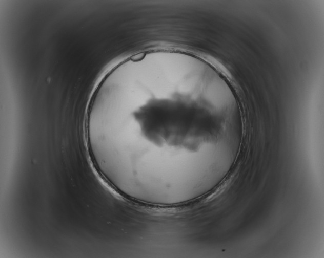 X0000086021247200704131843