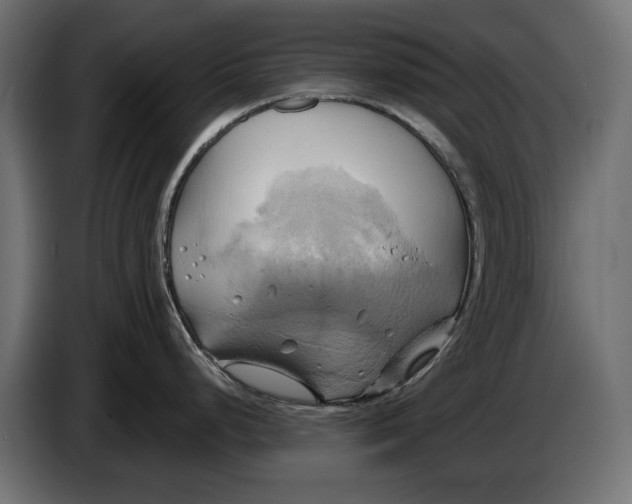 X0000086021248200704131843
