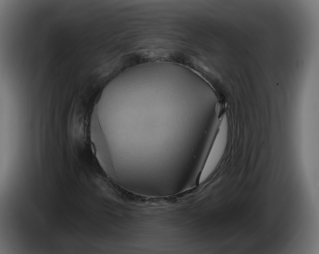 X0000086021250200704131842
