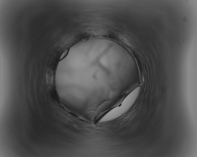 X0000086021251200704131842